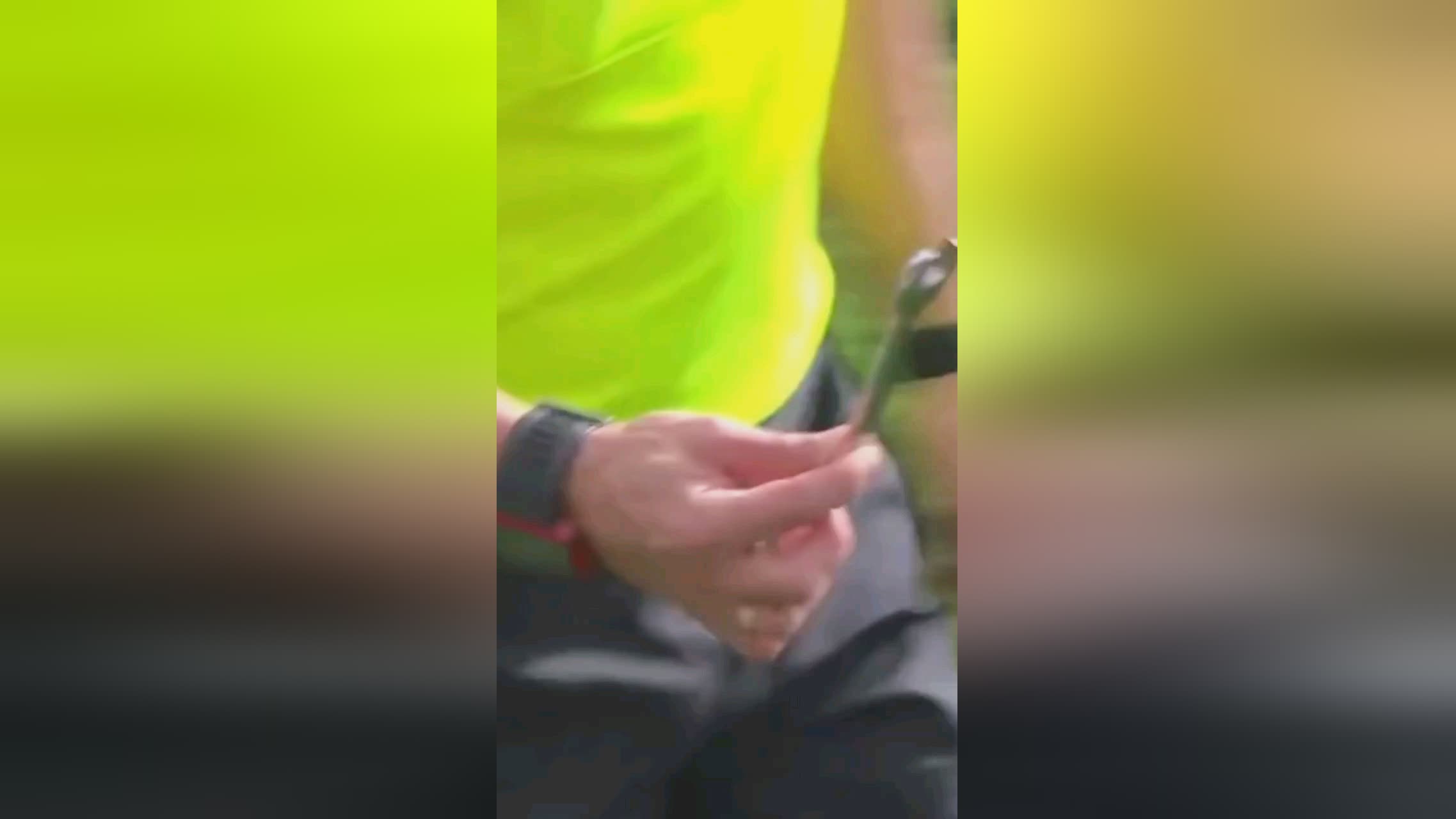 极上网与精